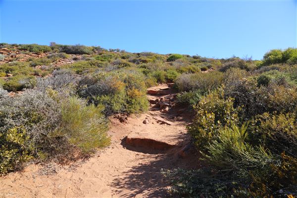 Kalbarri - Pot Alley Beach (3/06/2022)