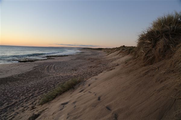 Kalbarri - Red Bluff and Red Bluff Beach (6/06/2023)