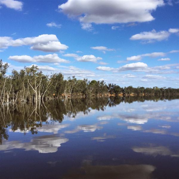Lake Yealering (17/01/2024)
