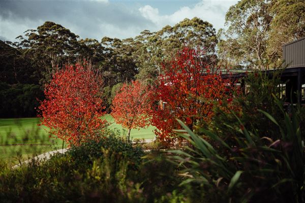 Margaret River - Leeuwin Estate Winery (25/03/2024 - Credits: Tourism Western Australia)
