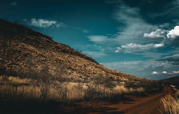 Cheela Plains Station (5/04/2024)