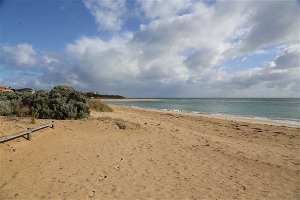 Avalon Beach (6/06/2023 - Credits: Aidan O'Bryan)