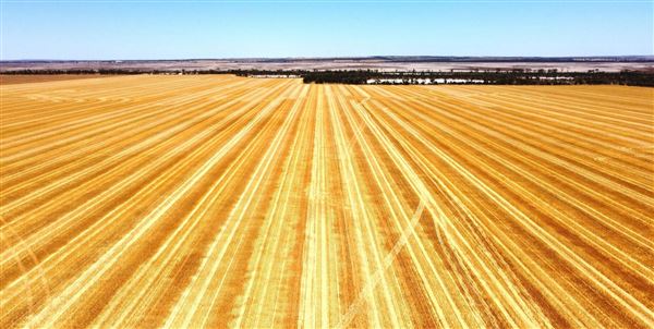 Wheatbelt Region (20/09/2024)