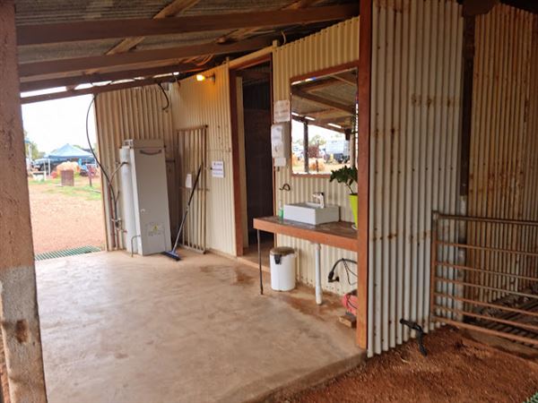 Bullara Station (23/10/2024)
