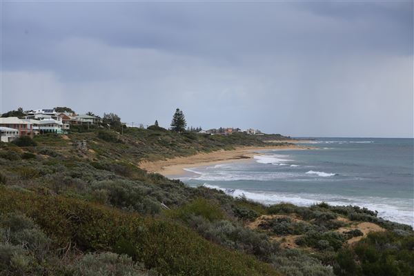 Mandurah - Falcon (10/01/2025)