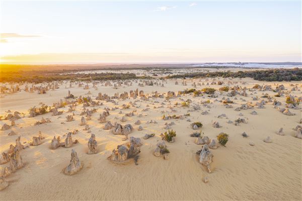 Pinnacles - Nambung National Park (17/01/2025 - Credits: Tourism Australia)