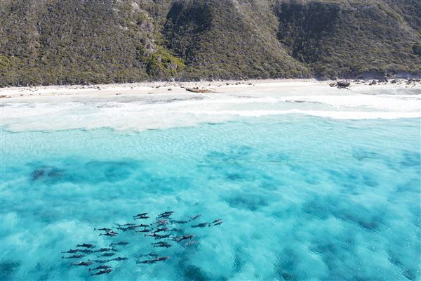 Twilight Beach (20/01/2025 - Credits: Tourism Western Australia)