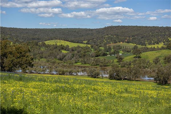 The Chittering Valley (12/02/2025)