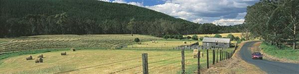 Nannup (13/02/2025)