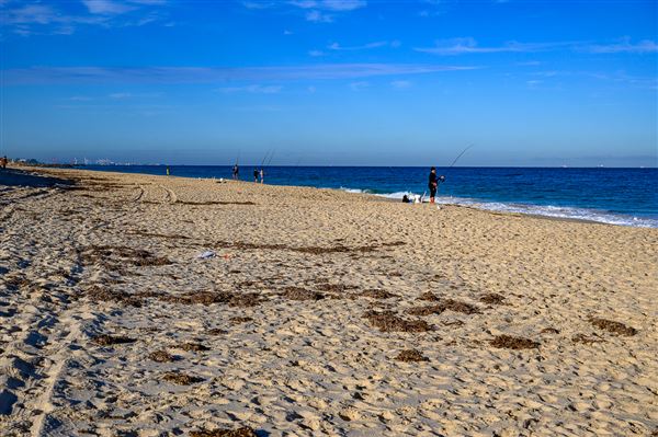 Floreat Beach (3/06/2025 - Credits: Xander Kabat)