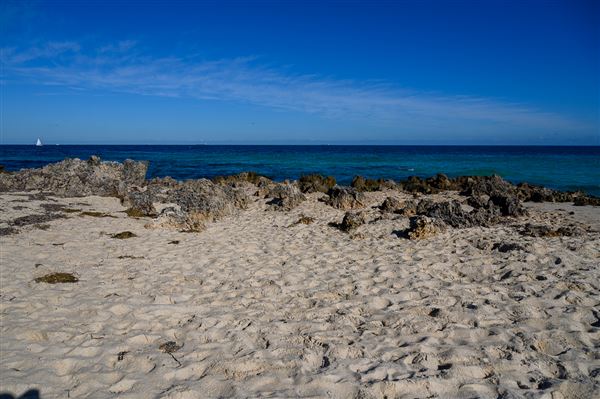 Bennion Beach (4/06/2025 - Credits: Xander Kabat)