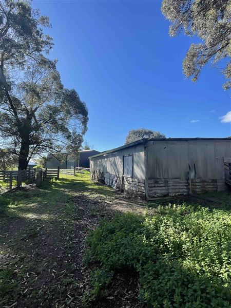 Shearing Shed @ Duke's Vineyard (28/06/2025 - Credits: Sarah Date)