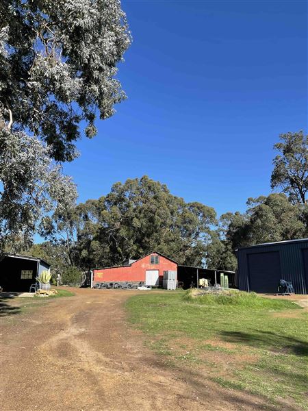 Shearing Shed @ Duke's Vineyard (28/06/2025 - Credits: Sarah Date)