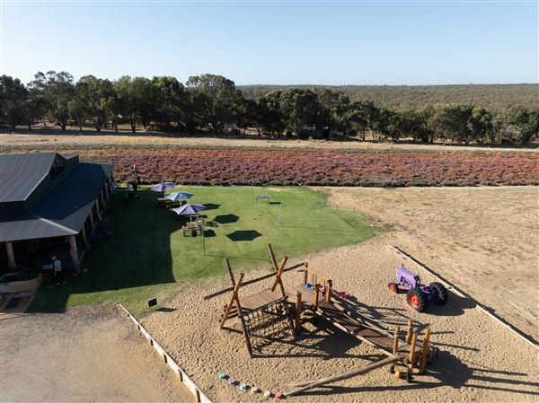 Yanchep Lavender Estate (1/03/2023)