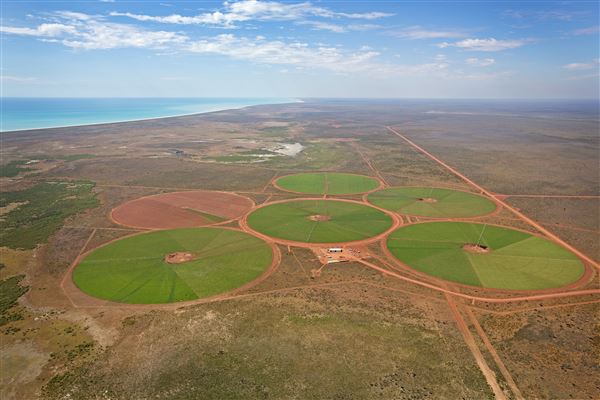Pardoo Wagyu Station (30/07/2025)