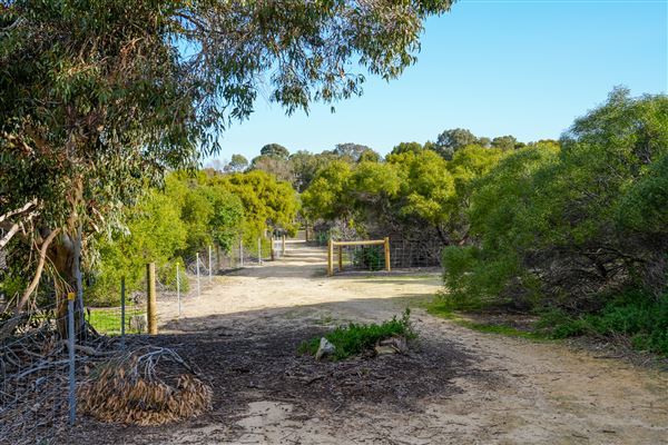 Booyeembarra Park (2/10/2025 - Credits: City of Fremantle)
