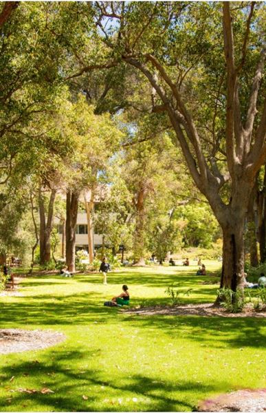 University of Western Australia - Campus