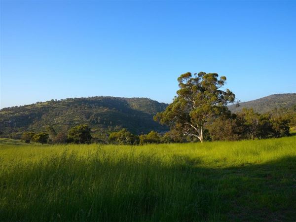Brigadoon - Campresic Road (10/03/2026)
