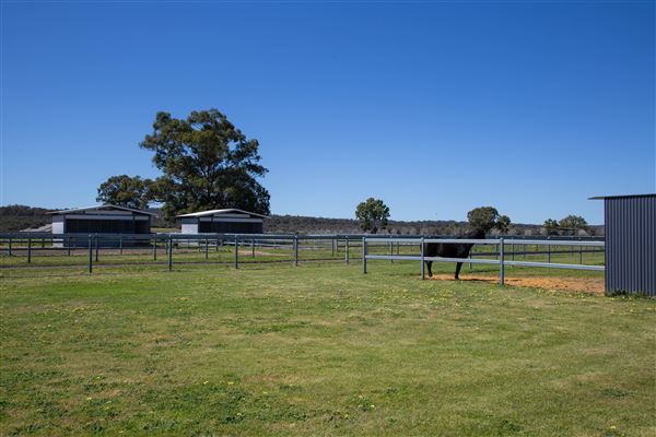 Gold Front Breeding & Racing (11/03/2026 - Credits: Louise Brady)