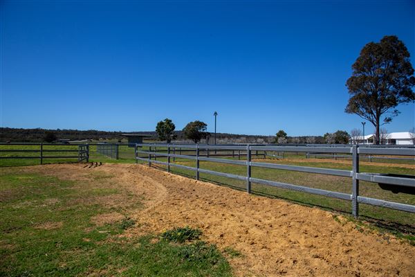 Gold Front Breeding & Racing (11/03/2026 - Credits: Louise Brady)