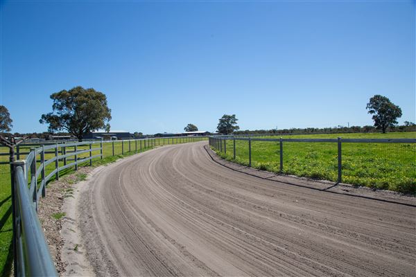 Gold Front Breeding & Racing (11/03/2026 - Credits: Louise Brady)