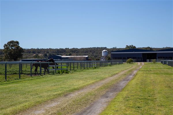 Gold Front Breeding & Racing (11/03/2026 - Credits: Louie Brady)