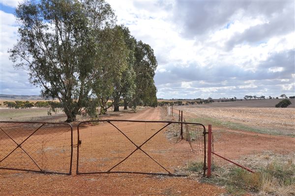 The Hamptons Farm Estate - Photos from Location Survey in April 2026 (24/04/2026 - Credits: Chris Veerhuis)