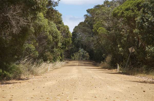 Mount  Richards Rd -Kalgan (12/03/2015)