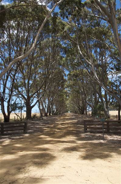 Mount  Richards Rd -Kalgan (12/03/2015)