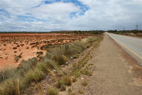 Arrow Lake - Kanowna - Goldfields (18/03/2015)