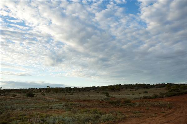 Coolgardie Outskirts (19/03/2015 - Credits: Tim Burns)