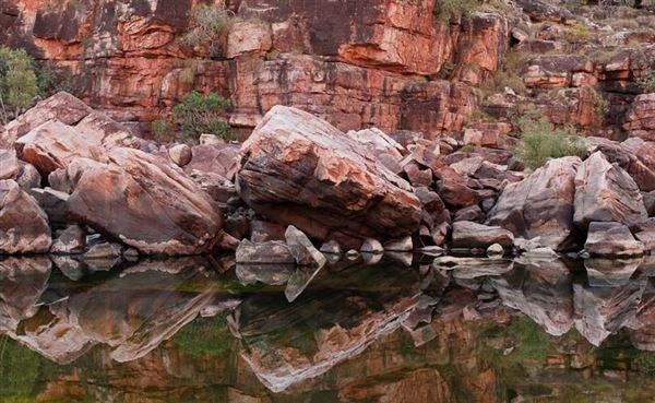 Kimberley-Charnley River Rainforest (21/03/2015)