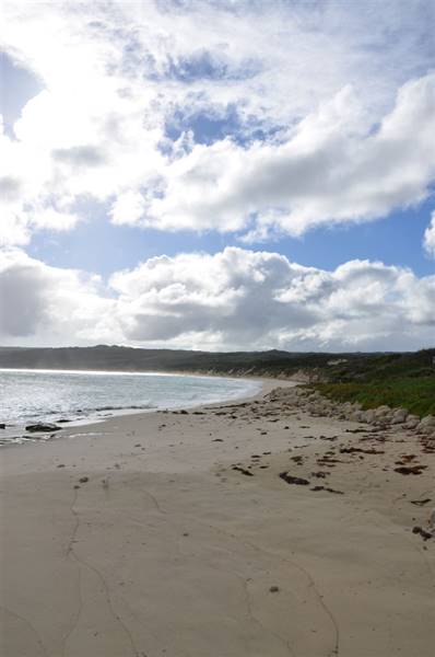 Hamelin Bay (23/03/2015)