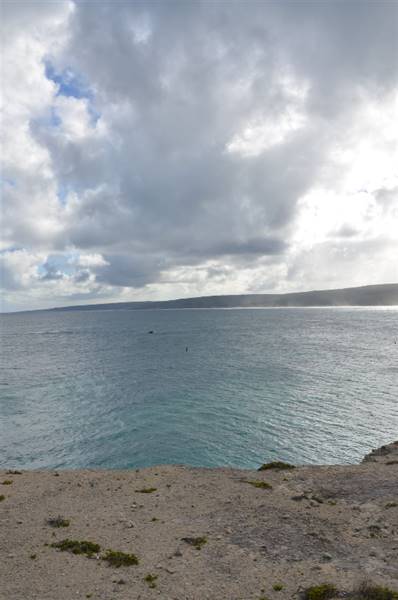 Hamelin Bay (23/03/2015)