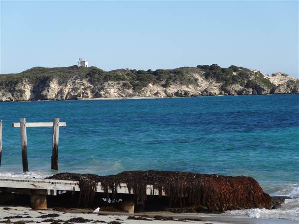 Hamelin Bay (23/03/2015)