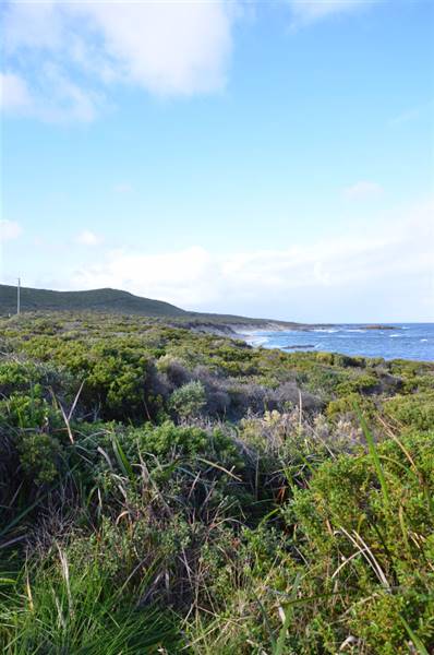 Cape Leeuwin (23/03/2015)