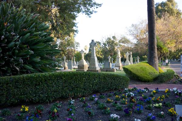 Karrakatta Cemetery (24/03/2015)