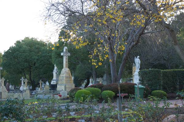 Karrakatta Cemetery (24/03/2015)