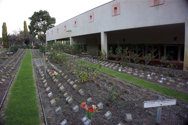 Karrakatta Cemetery (24/03/2015)
