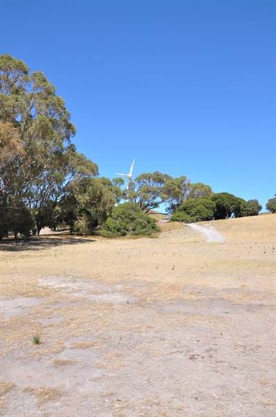 Rottnest Island (24/03/2015)