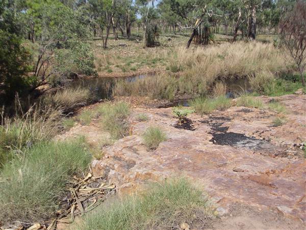 Tier Gorge (25/03/2015)