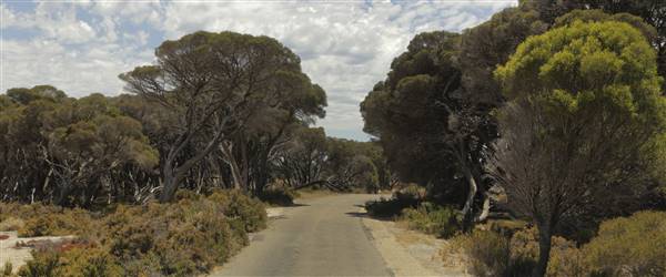 Rottnest Island (24/09/2015)