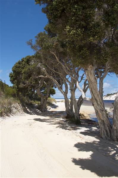 Nanarup Beach & Road (20/10/2015)