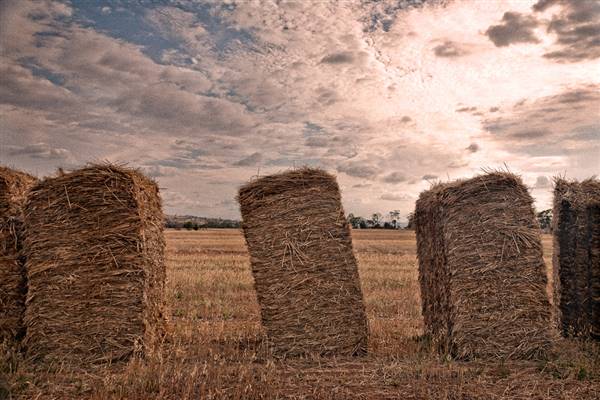 Wheatbelt Region (4/11/2015 - Credits: Tourism of WA)