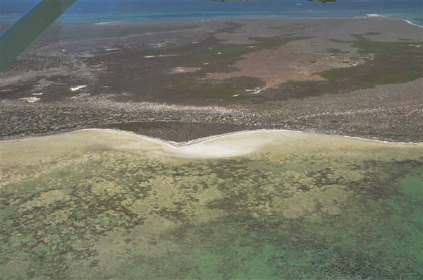 Abrolhos Islands - West Wallabi Island (15/12/2015 - Credits: Chris Veerhuis)