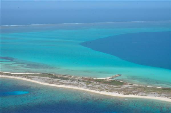 Abrolhos Islands - Pelsaert Island (15/12/2015)