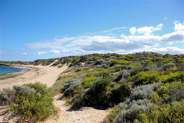 Cape Peron - Rockingham - from land (21/12/2015 - Credits: Chris Veerhuis)