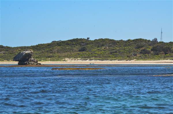 Garden Island - Calista Point - from water (22/12/2015 - Credits: Chris Veerhuis)