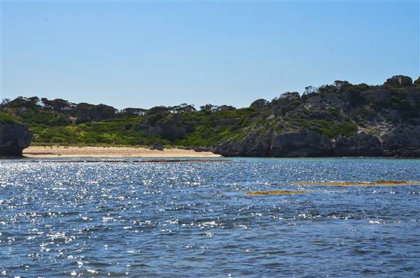 Garden Island - Calista Point - from water (22/12/2015 - Credits: Chris Veerhuis)