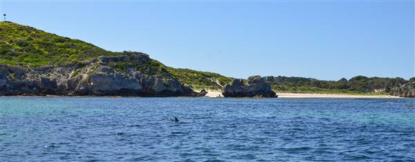 Garden Island - Calista Point - from water (22/12/2015 - Credits: Chris Veerhuis)